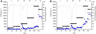 Treatment of sugarcane <mark class="highlighted">vinasse</mark> in AnMBR and UASB: process performance and microbial community comparison